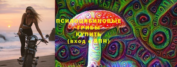 гашик Магас
