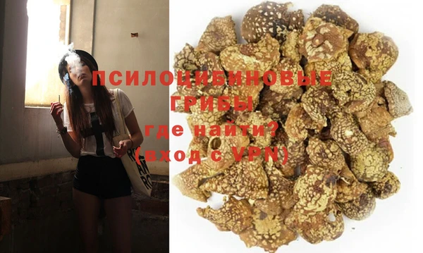 гашик Магас
