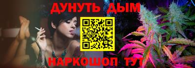 МДПВ Гатчина