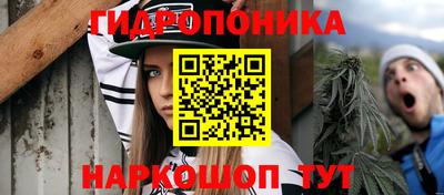 индика Азнакаево