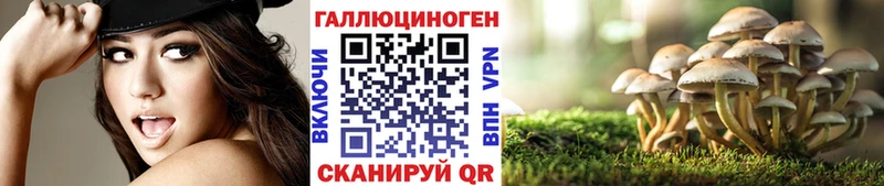 Галлюциногенные грибы GOLDEN TEACHER  Амурск 