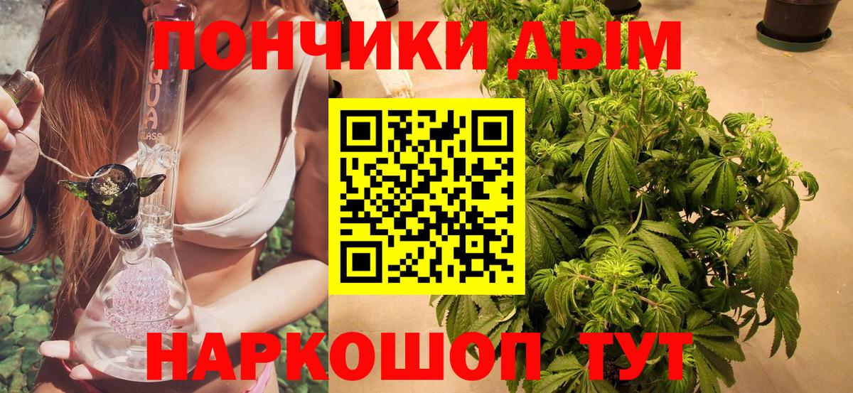 МАРИХУАНА сатива Амурск